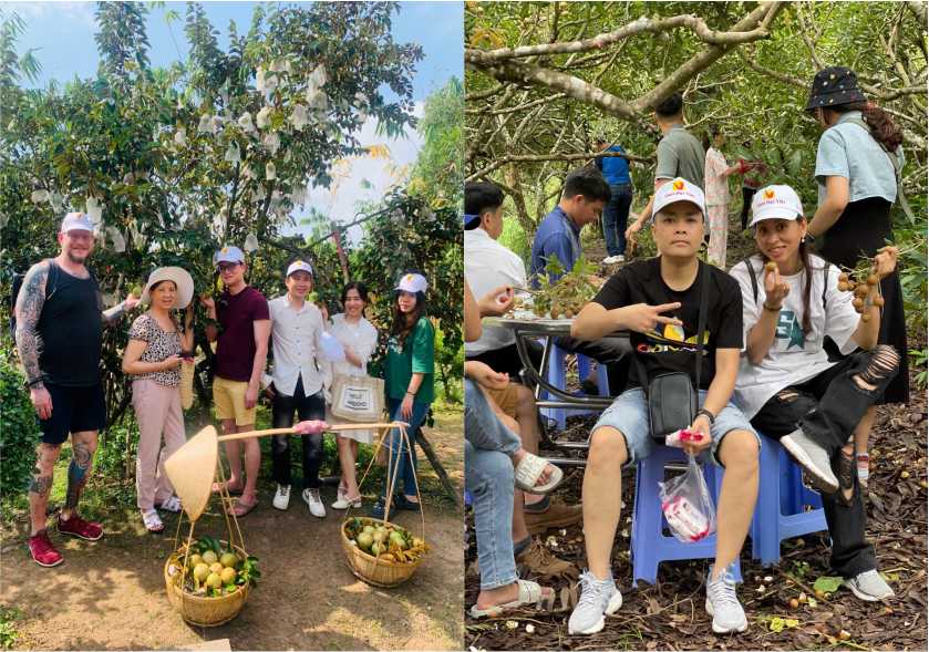 vườn trái cây cồn sơn